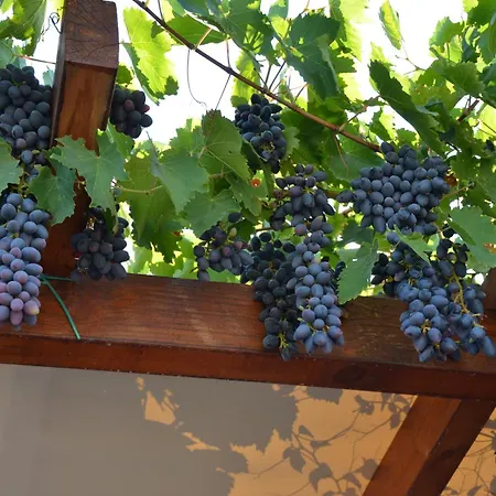 Tatil Evi Absolute Peace South