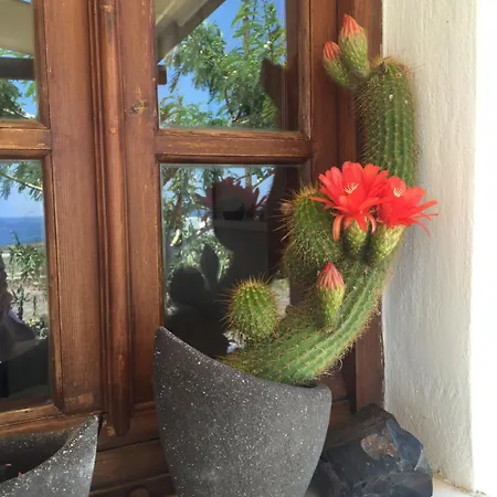 Absolute Peace South Tatil Evi *