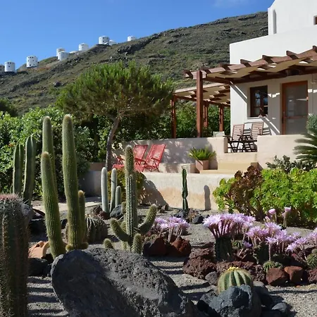 Absolute Peace South