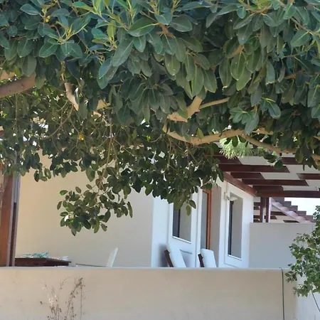 Absolute Peace South * Βούρβουλος