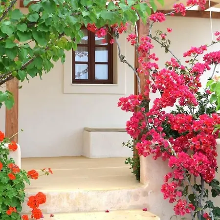 Absolute Peace South Ferienhaus *