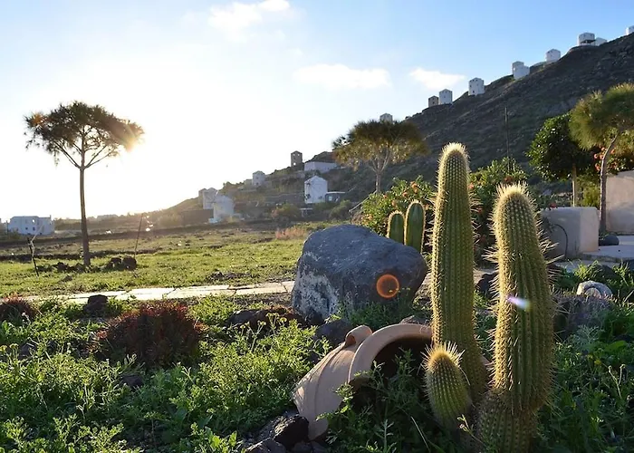 Absolute Peace South *