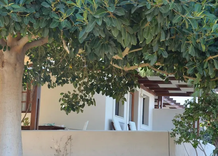 Absolute Peace South * Vúrvulosz