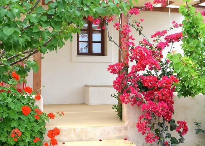 Absolute Peace South Semesterbostad *