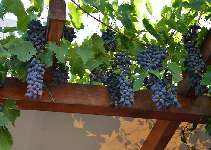 Ferienhaus Absolute Peace South