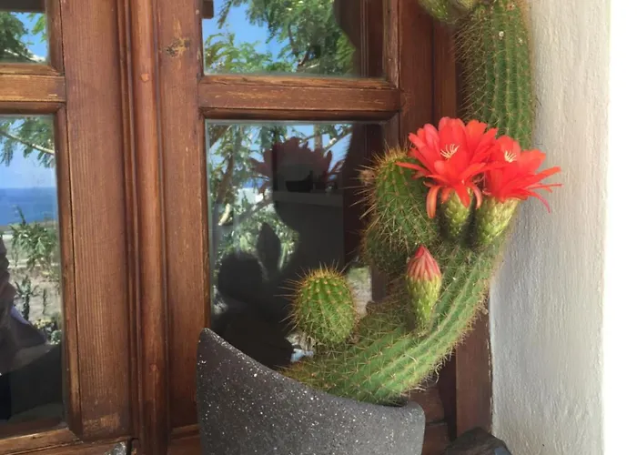 Absolute Peace South Semesterbostad *