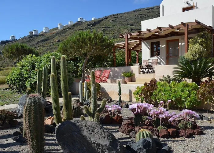 Absolute Peace South